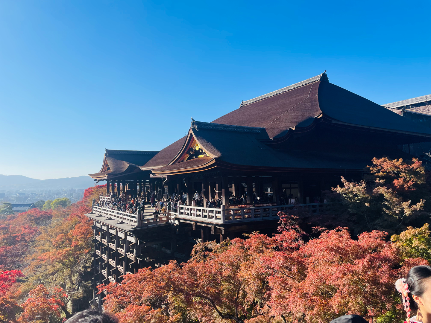 Traditionellt japanskt tempel omgivet av färgsprakande höstlöv med blå himmel i bakgrunden.